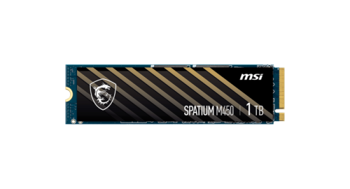 SSD M.2 MSI M450 1TB